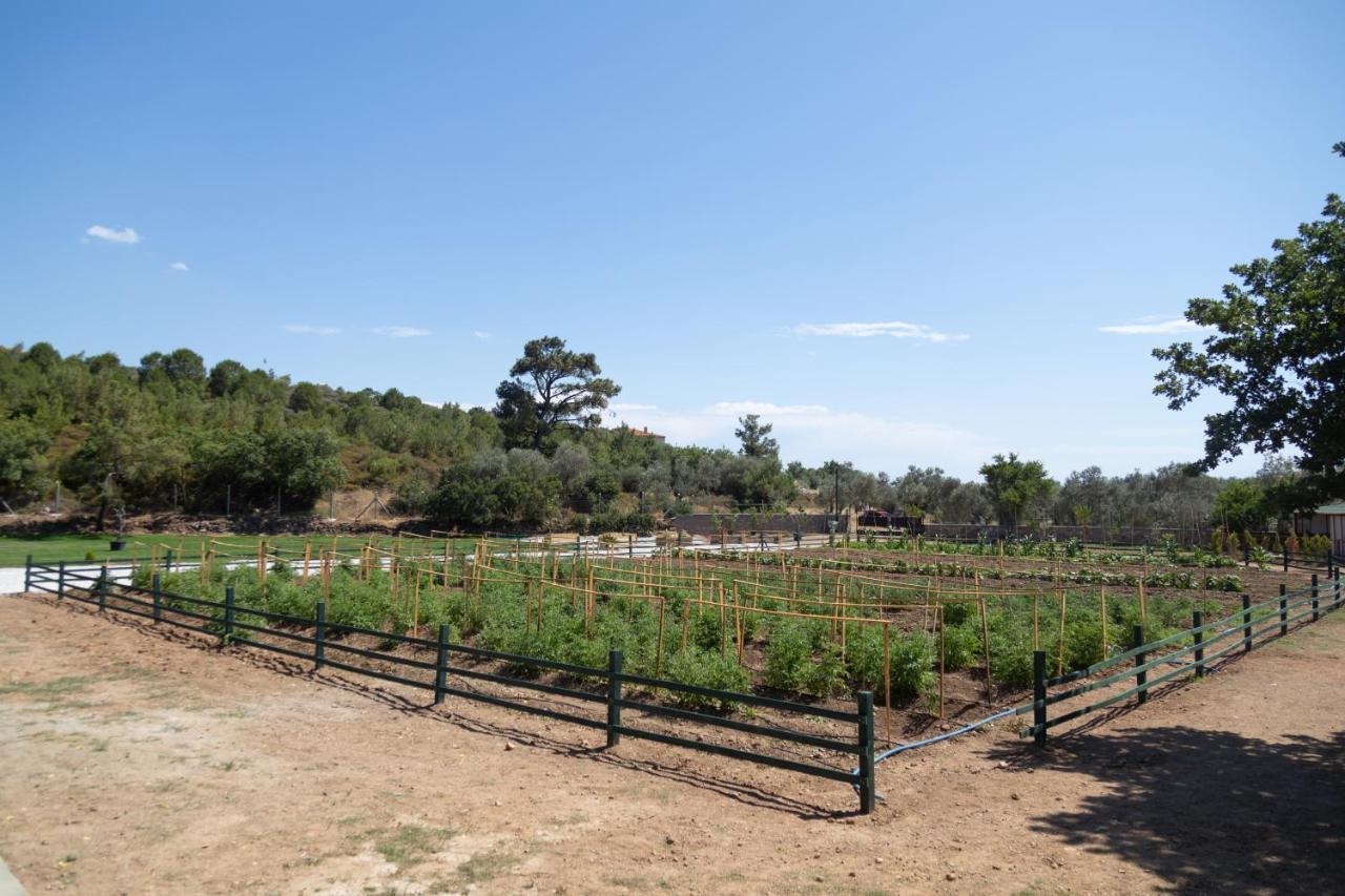 Leone Natural Ayvalı المظهر الخارجي الصورة